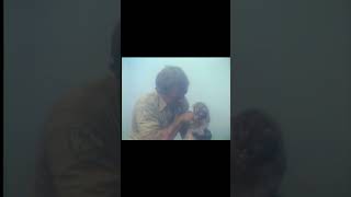 The Littlest Hobo | The Forest Is On Fire...And The Dog Did This!