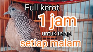 Download lagu kantong semar Kerot 1 jam full . perkutut lokal kerot koar untuk terapi setiap malam mp3 Download lagu kantong semar Kerot 1 jam full . perkutut lokal kerot koar untuk terapi setiap malam mp3