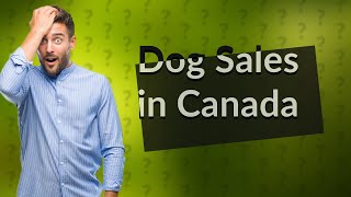 Can pet stores sell dogs in Canada?
