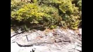 preview picture of video 'Linville Falls, North Carolina in the Smoky Mountains'