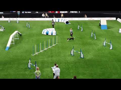 HUNGARY Large TEAM AGILITY AWC 2019