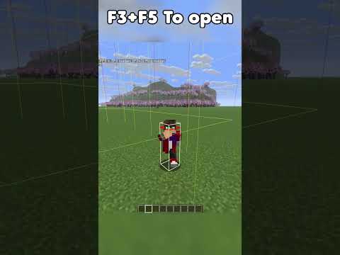 you can now customize your F3 menu in minecraft