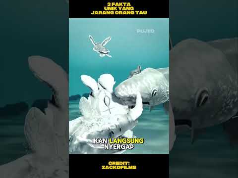 3 fakta unik yang jarang orang tau:mengumpulkan iguana beku, proses kura kura menetas, racun hewan