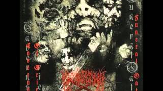 Sorrowstorm - Silent Plagues (AntiSatan Black Metal)