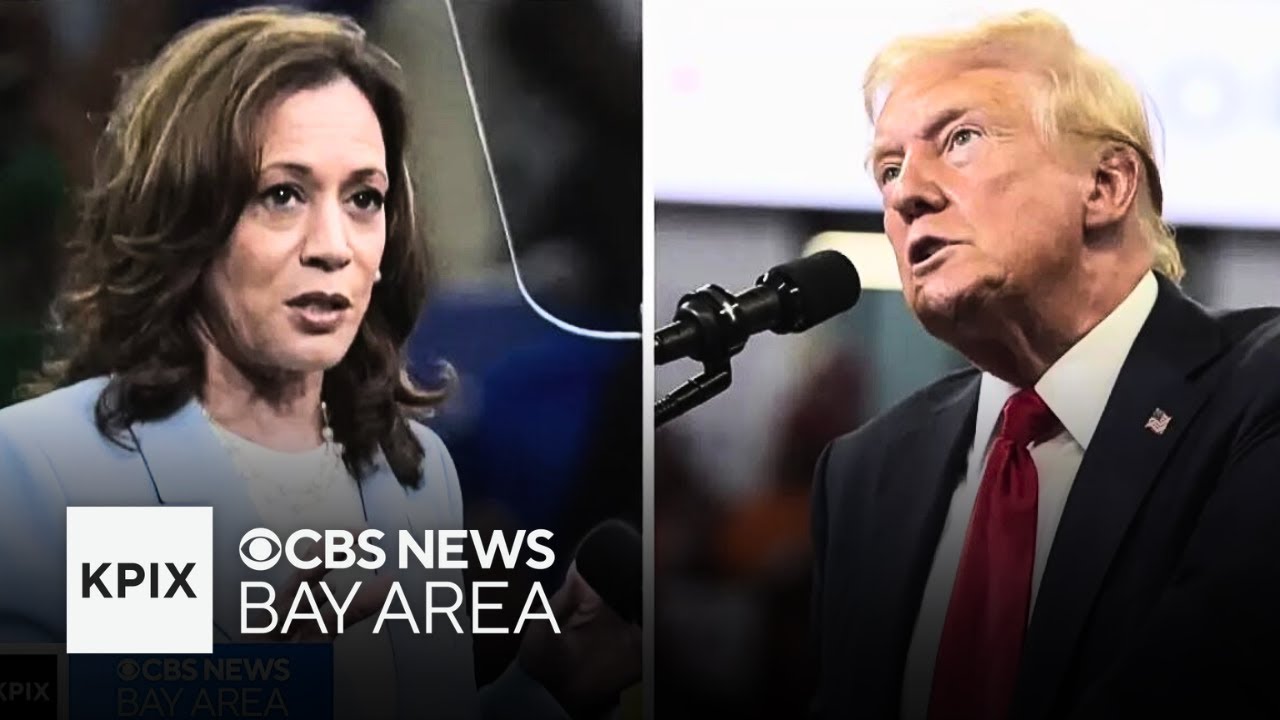 Political expert talks about what to watch for during Harris, Trump debate