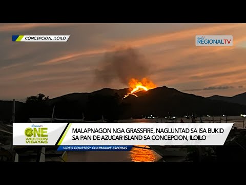 One Western Visayas: Grassfire, nagluntad sa bukid sa Pan De Azucar Island sa Concepcion, Iloilo