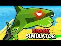 FLYING SHARK DESTROYS CITY IN SIMULATOR Shark Simulator Funny Gameplay