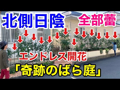 園芸 ビルバーギーはかがんだ