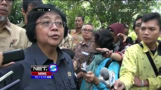 Download lagu Pelepasliaran Puluhan Ekor Burung Jalak Putih Hasil Sitaan - NET5 mp3 Download lagu Pelepasliaran Puluhan Ekor Burung Jalak Putih Hasil Sitaan - NET5 mp3