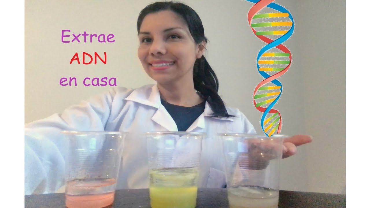 Extracción de ADN de frutas: Banana, fresa y kiwi con materiales fáciles en casa/ comparando el ADN