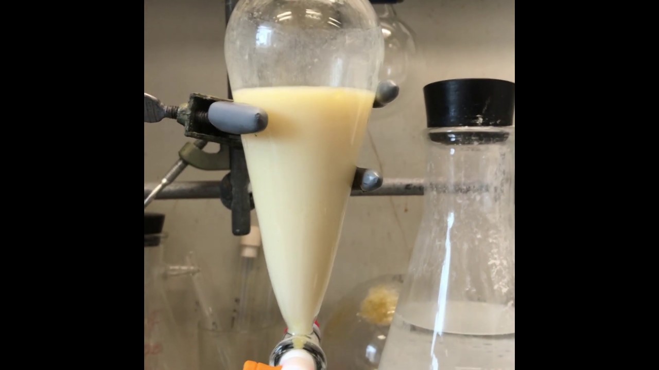 Biodiesel—Group 24