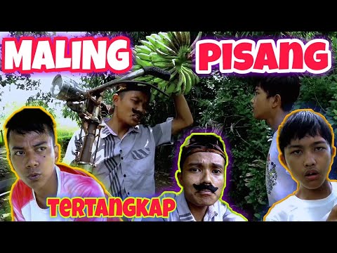 maling-pisang-awalnya-ngelak-namun-ahirnya-ngaku-karena-takut-dilaporkan-ke-polisi-komedi-madura