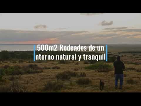 Palmares de la Coronilla