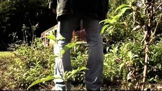 Allers Simples - Teaser