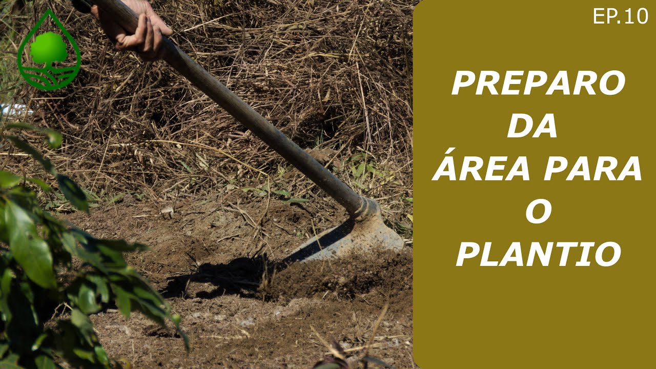 Episódio 10 - Preparo da área para o plantio