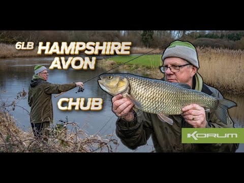 HUGE CHUB -  Hampshire Avon