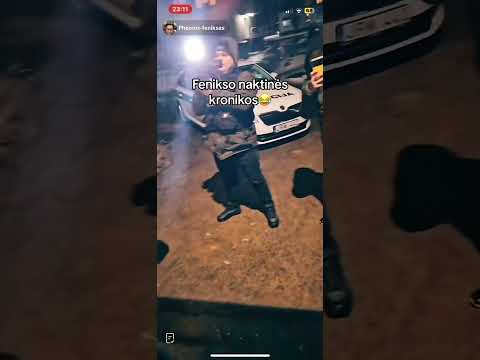 Vienos nakties įvykiai - Kristina Kaminskaitė Tiškuvienė