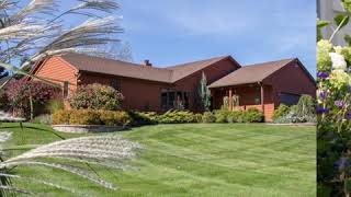 Bronco &quot;Se va se va&quot;