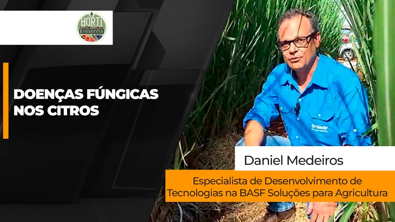 HORTI RESENHA #161 - Doenças fúngicas nos citros exigem manejo antecipado e atenção às condições...