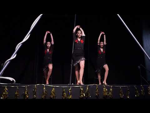 DanceVenture - 20s Show