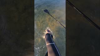 Running on water, it's possible if you found gold 🤣 X-Finds