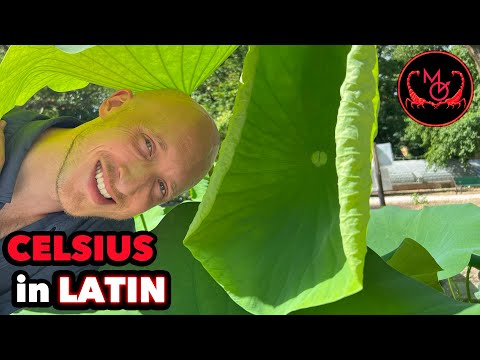 Celsius in Latin! Master Temperature with a Poem (Hendecasyllable Meter Training)