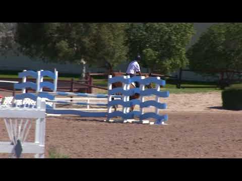 00093 Prince Du Roch  3/9/2018