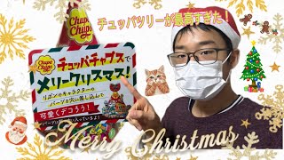 【商品紹介】チュッパツリー買ってみたら最高に楽しかった♪