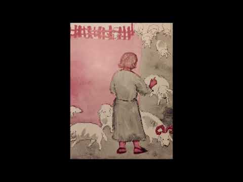 Dov'è finita Perlina?