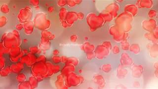 Valentine's Day romantic hearts | love background video | happy valentines day background | #Wedding