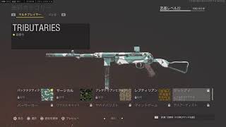 ［COD VANGURD］今作はおもろいんか？配信