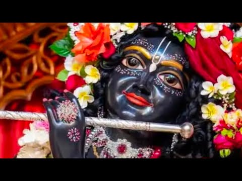 Avikesh yadav  is live!