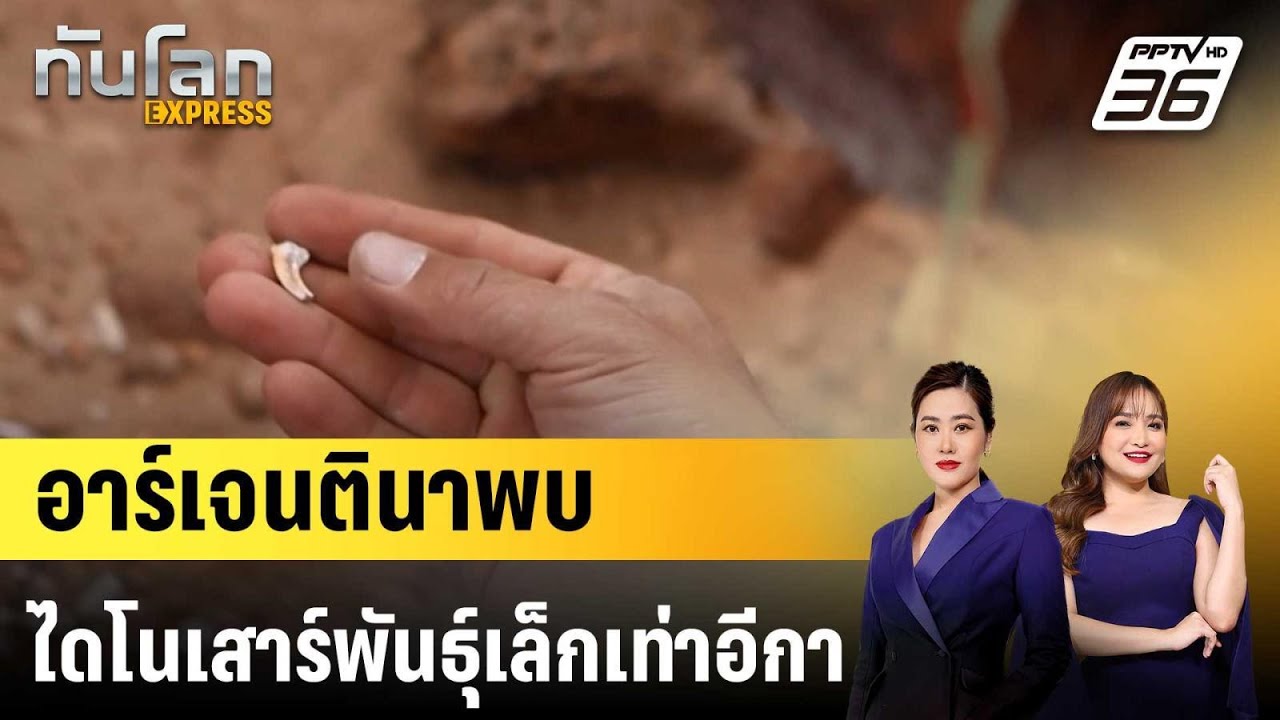 อาร์เจนตินาพบไดโนเสาร์พันธุ์เล็กเท่าอีกา|ทันโลก 