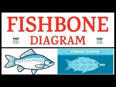 FISHBONE DIAGRAM || Fishbone Diagram Procedure || Examples of Fishbone Diagram || HSE STUDY GUIDE