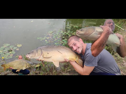 Traženje VELIKIH riba u obali - Dočekali smo ih - DAN TREĆI | BIG CARP AND GRASSCARP fishing