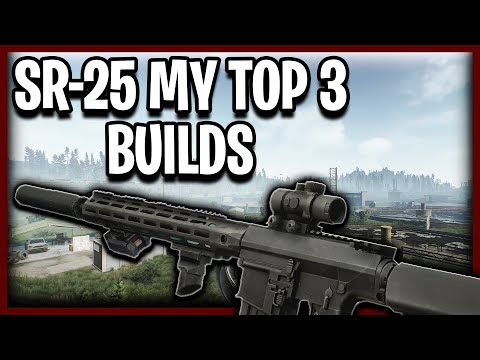 SR-25 BUILDS FOR ALL WALLET SIZES - ESCAPE FROM TARKOV