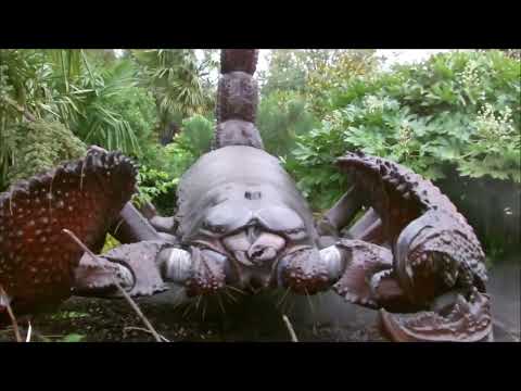 Giant scorpion footage