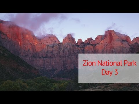 Large Format Landscape Photography in Zion National Park: Day 3