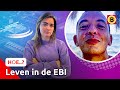 Een EXCLUSIEF kijkje in de ZWAARSTBEVEILIGDE GEVANGENIS | HOE..?