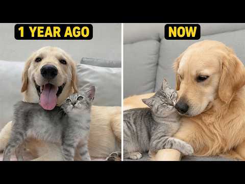 YouTube 썸네일