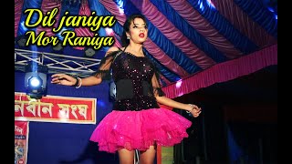 Download lagu Dil Janiya Mor Raniya | dj video song | dance program mp3 Download lagu Dil Janiya Mor Raniya | dj video song | dance program mp3