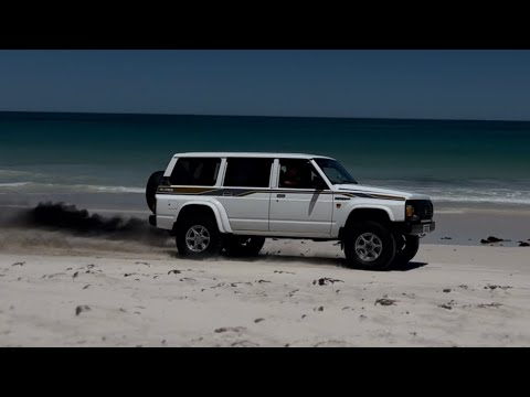 300hp td42 patrol on gate (HX35)