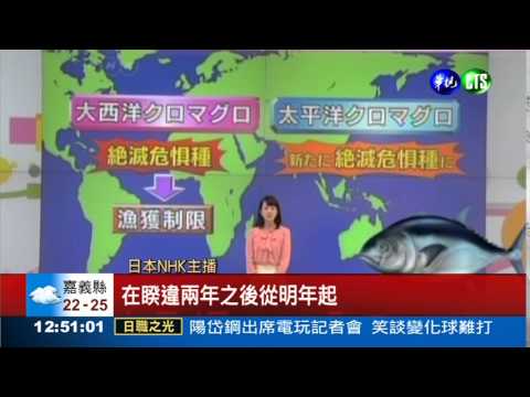 黑鮪將擴大捕撈 陷絕種危機