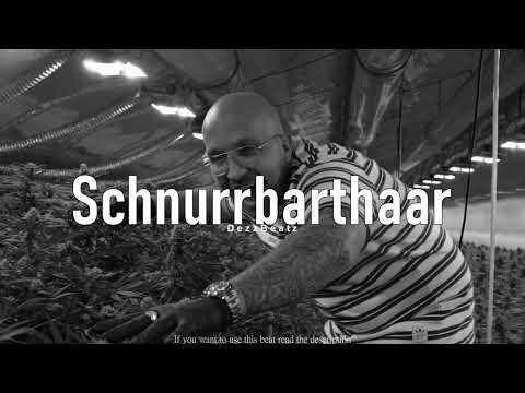 Schnurrbarthaar - Funky West Coast Boom Bap Hip Hop Oldschool Plusmacher type Beat - DezzBeatz