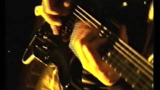 Autumn Leaves - &quot;Universal Flood&quot;