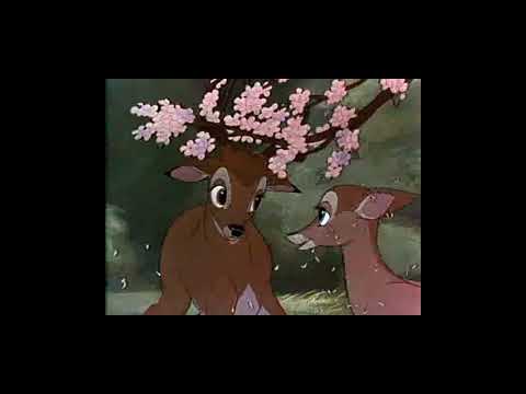Трейлеры Бемби 2