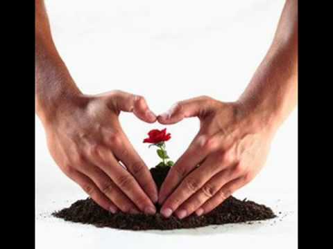 QaRizMa Ft. Mc Karayazi & Ferman - Gunesi Tutamadik