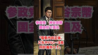 参政党　神谷宗幣　国会似て追及「電気代の正体、これヤバい…3兆円が海外へ？」#明日使える話題　#政治　#経済　#自治ネタ #雑談　#参政党#神谷宗幣#再エネ賦課金