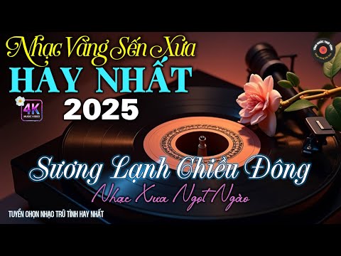 Nhạc TÌNH CA BOLERO Trữ Tình HAY NHẤT, ĐỘC LẠ 2025 - Nhạc Vàng Sến Xưa CỰC DỄ NGHE - NGHE LÀ SAY MÊ