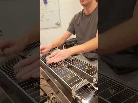 Der wilde wilde Westen (Truck Stop) Pedal Steel Solo